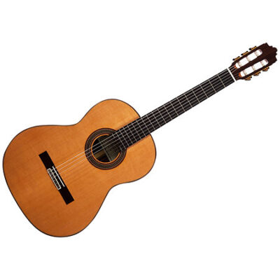 Altamira N600 4/4 EN + Housse