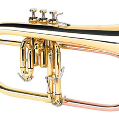 Alysée FH 8354