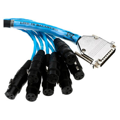 AVID HD DigiSnake 4′ (1.2m) DB25-XLRF