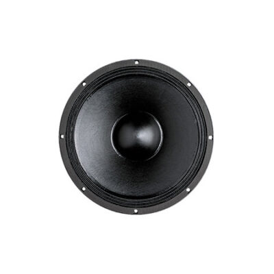 B&C Speakers 15 PS 100