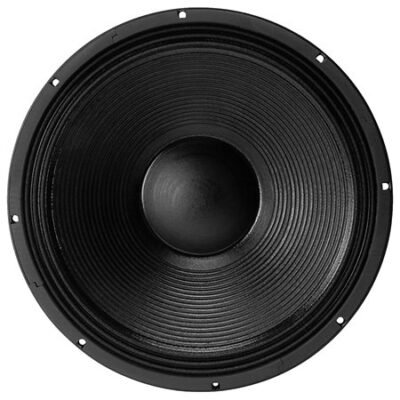 B&C Speakers 18 NW 100