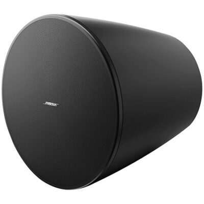 Bose Professional DesignMax DM10P-SUB Black (l’unité)