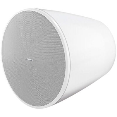 Bose Professional DesignMax DM10P-SUB White (l’unité)