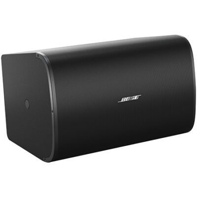 Bose Professional DesignMax DM10S-SUB Black (l’unité)