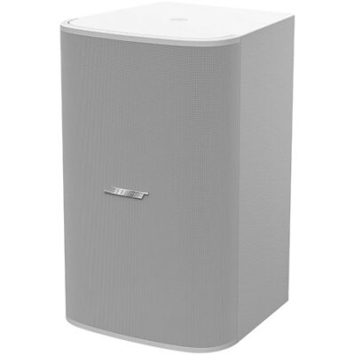 Bose Professional DesignMax DM10S-SUB White (l’unité)