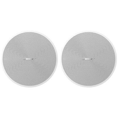 Bose Professional DesignMax DM2C-LP White (La Paire)