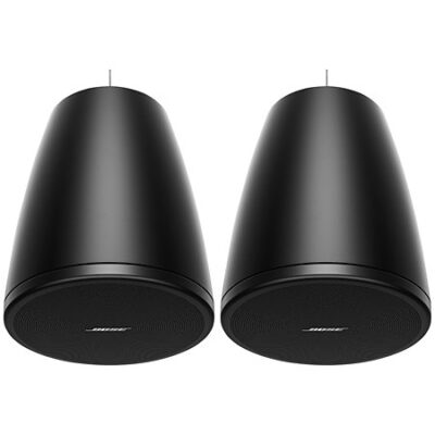 Bose Professional DesignMax DM3P Black (la paire)