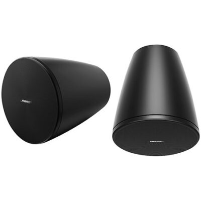 Bose Professional DesignMax DM5P Black (La Paire)
