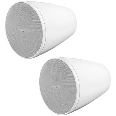 Bose Professional DesignMax DM5P White (La Paire)