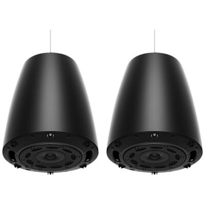 Bose Professional DesignMax DM6PE Black (la paire)