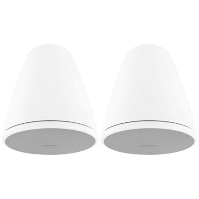 Bose Professional DesignMax DM6PE White (la paire)