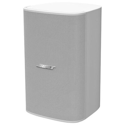 Bose Professional DesignMax DM8SE White