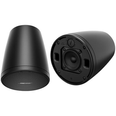 Bose Professional FreeSpace FS2P Black (La Paire)