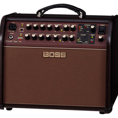 Boss Acoustic Singer Live