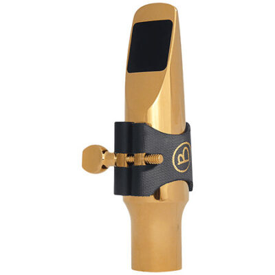 Brancher E23AG Bec métal Plaqué Or Saxophone Alto