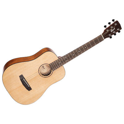 Cort Earth Mini