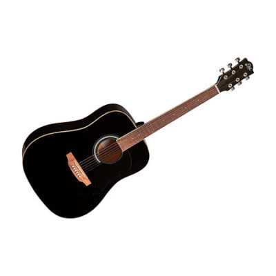 EKO Ranger 6 Black