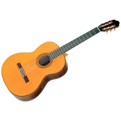 Esteve Mod.8 Cèdre