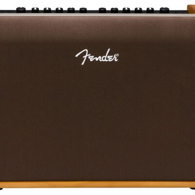 Fender Acoustic 100