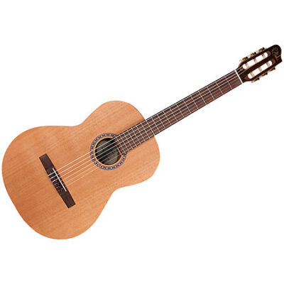 Godin Concert RN