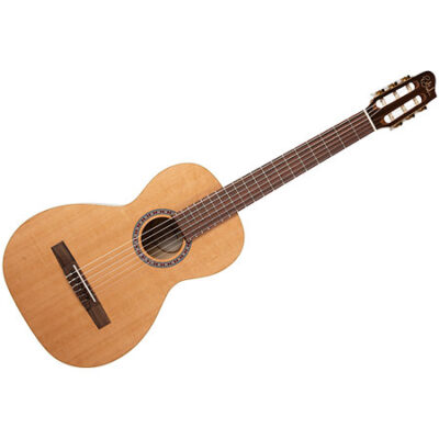 Godin Motif RN