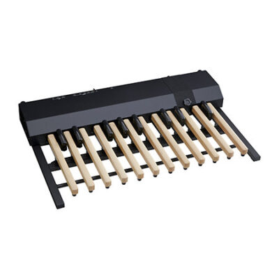 Hammond XPK-200GL Pédalier 20 notes touches longues