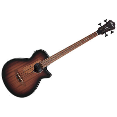 Ibanez AEGB24E-MHS