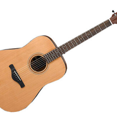Ibanez AW65-LG – natural low gloss