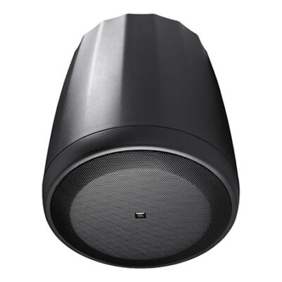 JBL Pro CONTROL 65 P/T (la paire)