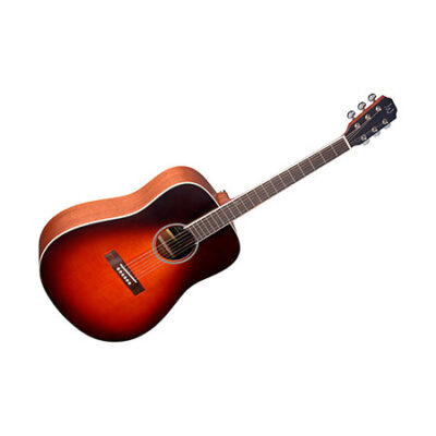 JN Guitars EZR-D Dreadnought Sunburst