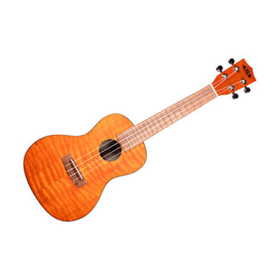 Kala Exotic Mahogany Concert