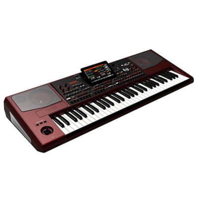 Korg Pa1000