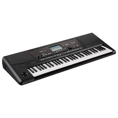 Korg Pa300 Professional Arranger