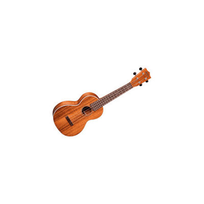 Martin Guitars 2KC