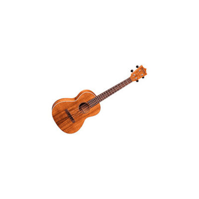 Martin Guitars 2KT