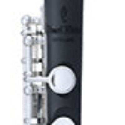 Pearl Flutes PFP105 ES Piccolo tête lisse