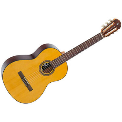 Pleyel P100