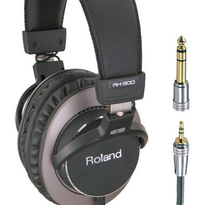 Roland RH 300