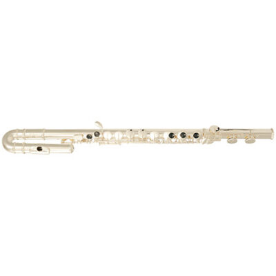 SML Paris AFL200 Alto + Etui