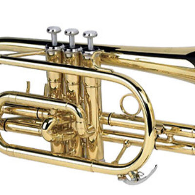 SML Paris Cornet SIB CO50