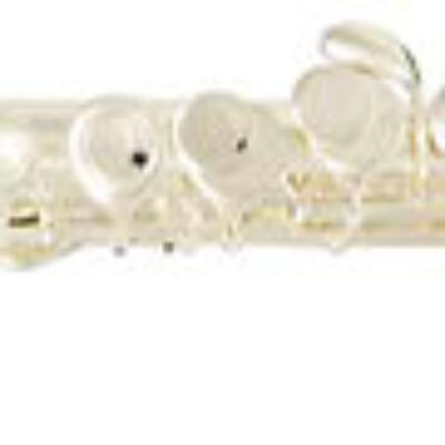 SML Paris FL50 Flute tete courbe