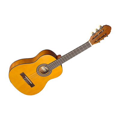 Stagg C405 M NAT