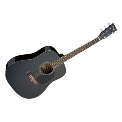 Stagg SA20D BLK