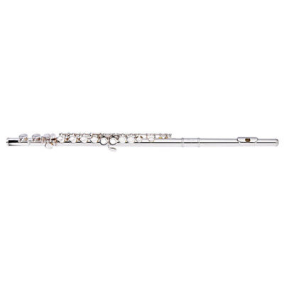 Stagg WS-FL111