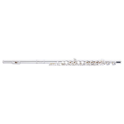 Stagg WS-FL251S