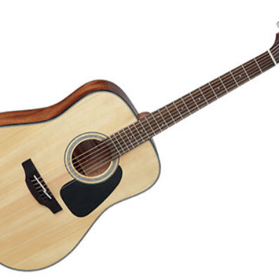 Takamine GD30-NAT