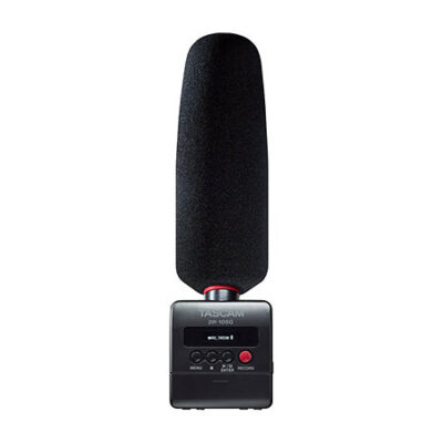Tascam DR-10SG