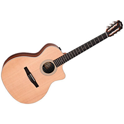 Taylor 214ce-N Natural