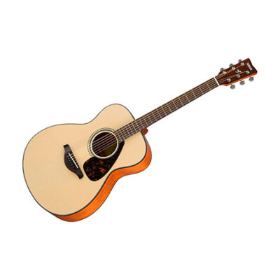 Yamaha FS800 NT II