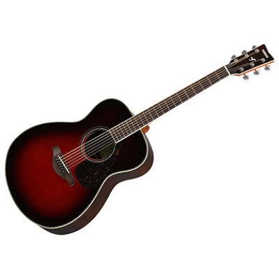 Yamaha FS830 TBS